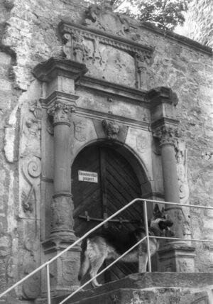 133 SL 01 SCF 1196 24.jpg